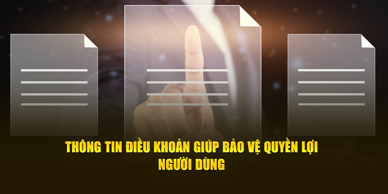 Thông tin điều khoản giúp bảo vệ quyền lợi người dùng